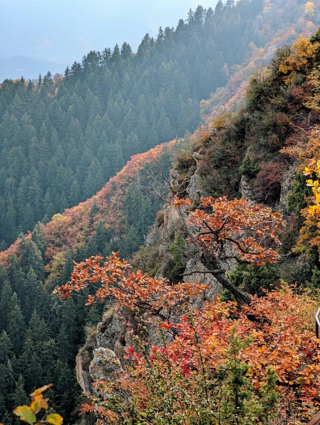 隴右名山蘭州興隆山 | 邂逅醉美秋色。
