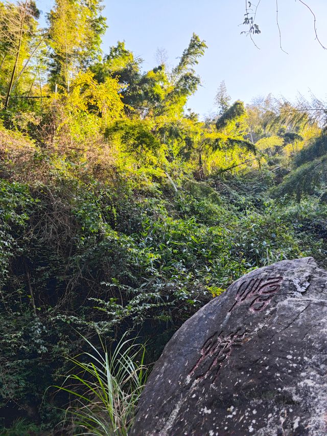 《神龍潭瀑布：探秘自然奇境，暢享山水逸趣之旅》。