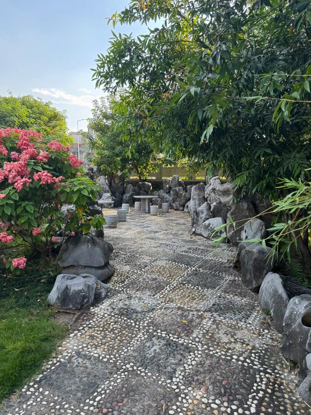 茂名高州緬茄公園探秘自然與歷史的交響曲