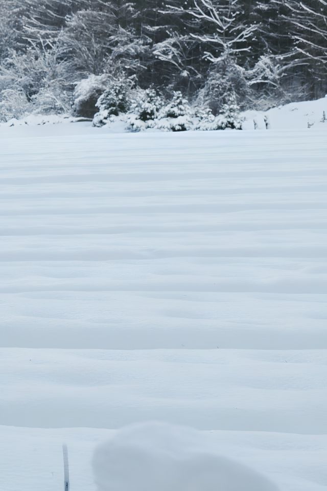 撫順