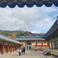 경주 여행 추천 코스 세계문화유산 불국사 