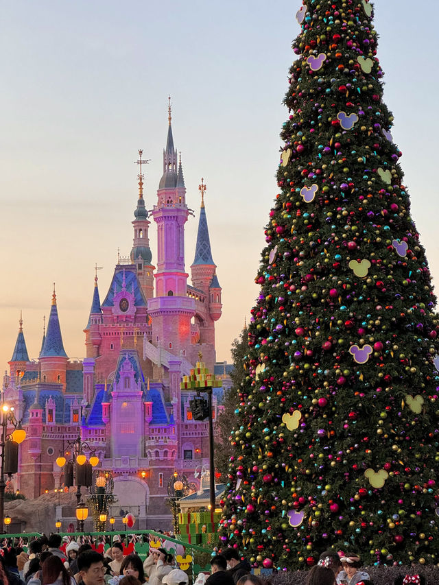 11.11 Live! Disney Christmas Season is Here 🎄 with Photo Tips 📷