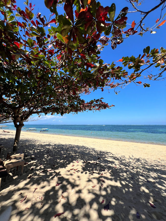 普拉瑪沙努爾海灘酒店｜峇里島經典之選