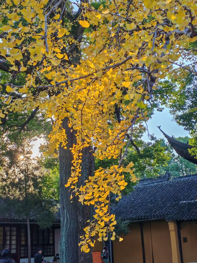 西園寺