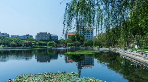 《廈門趕海風景：驚喜不斷》