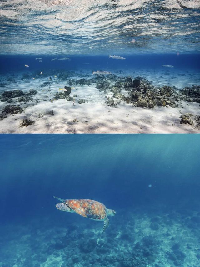 斗湖：馬來西亞碧海，潛水者樂園