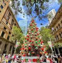 Sydney's Martin Place Hosts the Southern Hemisphere's Tallest Christmas Tree