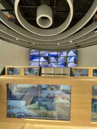 Explore the Macau Grand Prix Museum for Free as a Student!