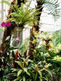 湖南省植物園 | 我好像走進了森林秘境
