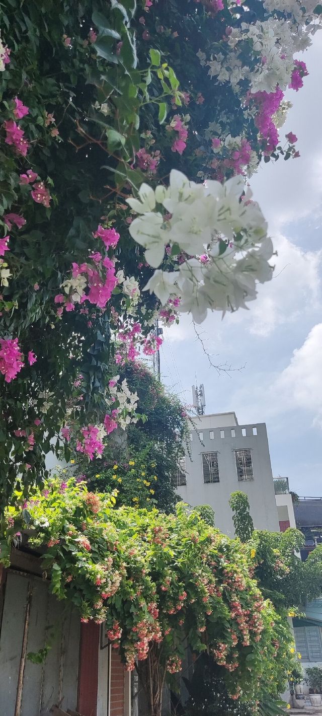 河內大宇酒店：一次奢華的湖畔體驗