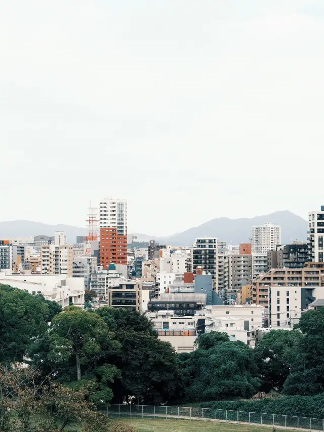 8-Day Japan Trip: A Detailed Guide to Winter in Japan