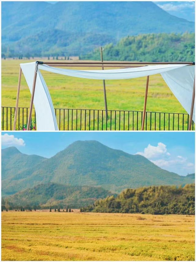江浙滬賞秋天花板，附一日路線攻略