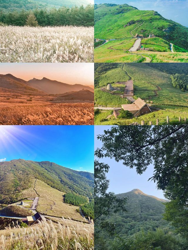韓國蔚珍郡：東海岸的寶藏之地