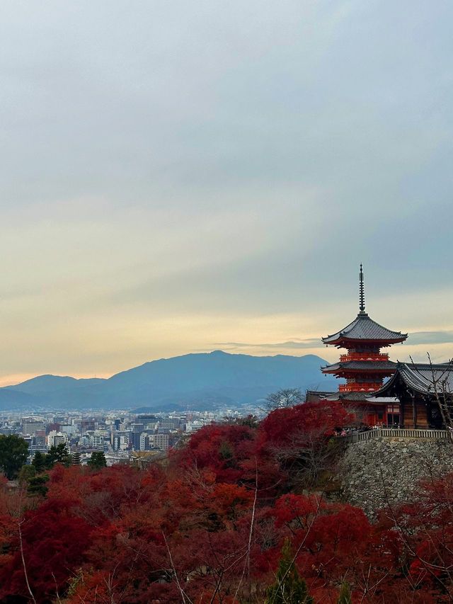 日本溫泉打卡指南 解鎖身心之旅