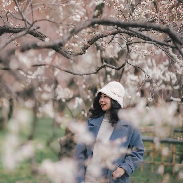 "水戶偕樂園：徜徉在千年梅花的詩意夢境中" 