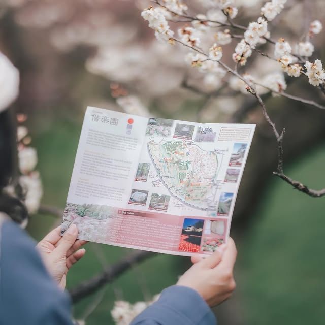 "水戶偕樂園：徜徉在千年梅花的詩意夢境中" 