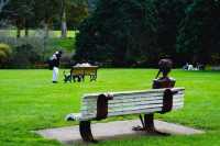 Explore the Auckland Botanic Garden This Spring