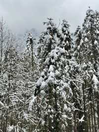 成都周邊一個小時就能到達這個玩雪聖地！