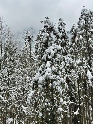 成都周邊一個小時就能到達這個玩雪聖地！