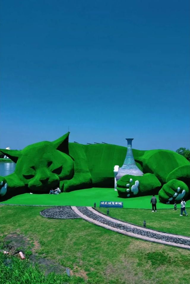 為流浪貓建的小島！竟然在淮安！