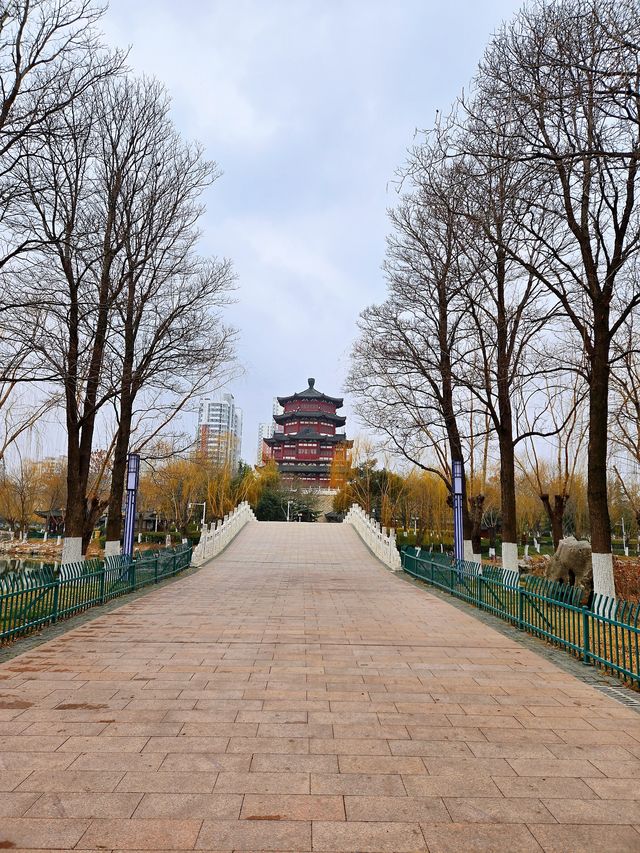 南池荷淨 李杜攜遊
