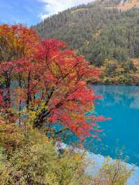 三天暢遊四川九寨溝等地 玩轉美景不踩坑