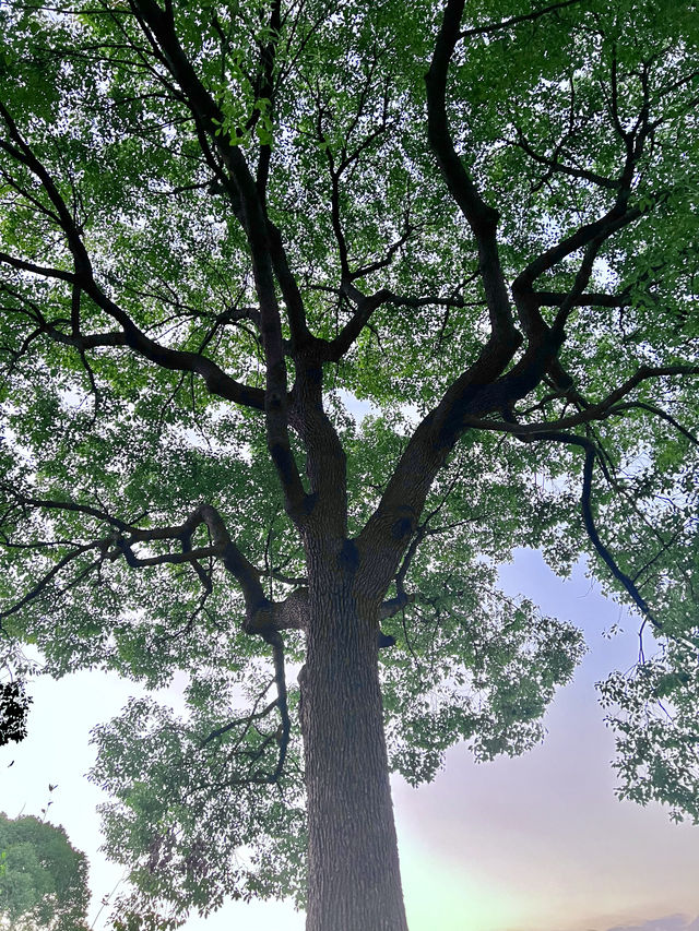 魔都免費遛娃 新開的無動力樂園太好玩