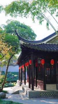 泰州旅遊攻略別錯過這座免費的絕美園林