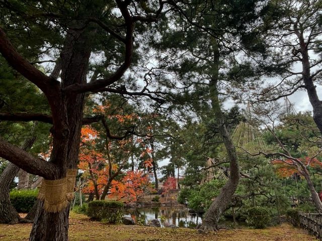 家人們誰懂啊！在蘆城公園狠狠拿捏鬆弛感