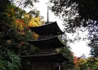 秋日秘境 | 日本小松·那谷寺的紅葉夢境