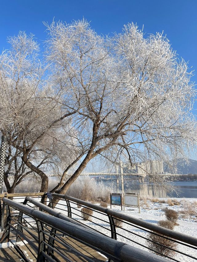 哈爾濱-吉林市-長白山探秘之旅 邂逅森林與雪域的奇幻