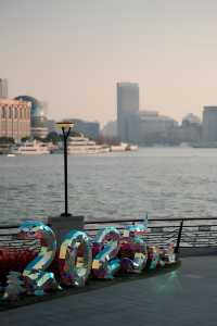 2.10實拍！北外灘的浪漫花海美哭啦