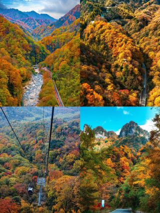 Bazhong-Guangyuan-Nanchong | Autumn Travel Guide: A Super Detailed Guide is Here