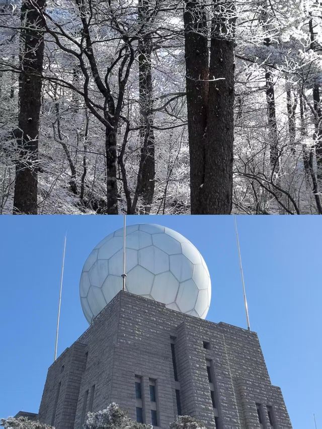 第一次來黃山，踩了許多坑