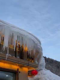 哈爾濱-雪鄉滑雪之旅一篇文章帶你食住玩樂