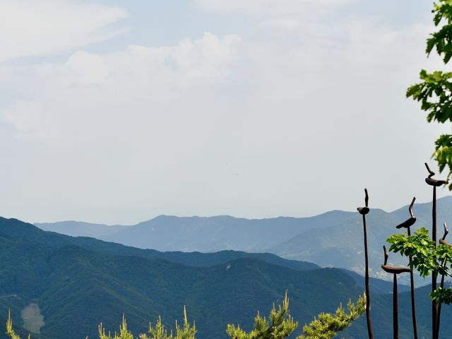 走進大邱桐華寺｜感受寧靜與祥和