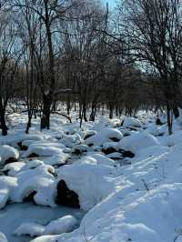 黑龍江雪鄉等地｜賞雪泡溫泉愜意過冬攻略