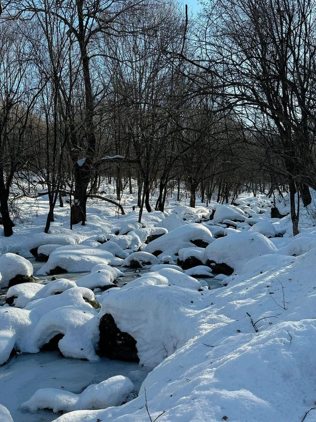 黑龍江雪鄉等地｜賞雪泡溫泉愜意過冬攻略