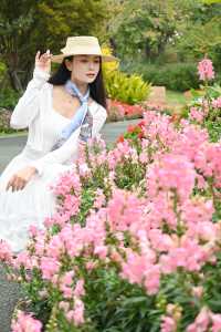 深圳嘅公園春天真係靚到喊 人少快啲衝啦