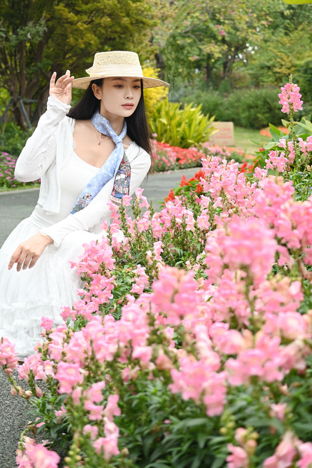 深圳嘅公園春天真係靚到喊 人少快啲衝啦