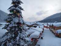 中國雪鄉的魔幻狗熊嶺