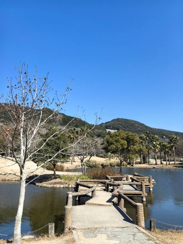 淡季出遊，普陀山不一樣的親子遊
