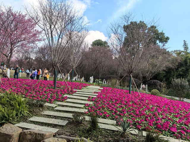 天氣好去植物園walk一下～