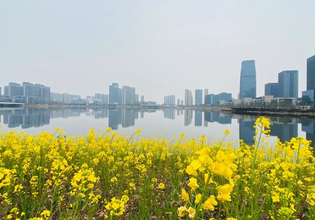 來賞2025年杭州第一批“油菜花海”吧！