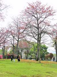 廈門南湖公園四季五彩繽紛，休閒好地方！