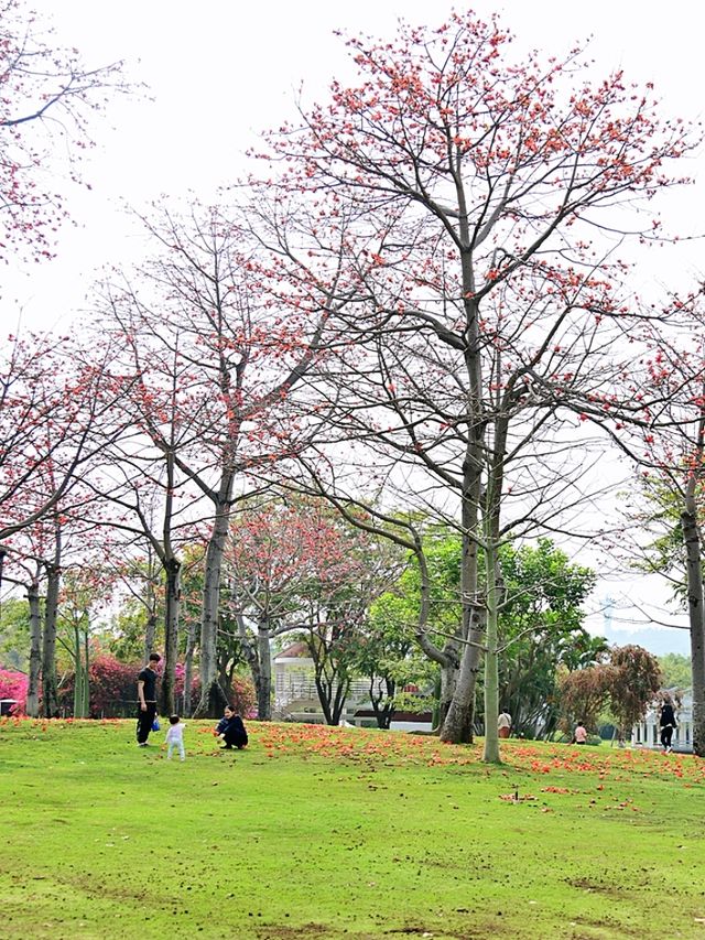 廈門南湖公園四季五彩繽紛，休閒好地方！