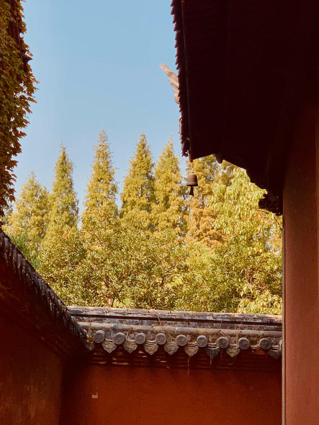衢州旅遊｜衢州孔氏南宗家廟南孔聖地