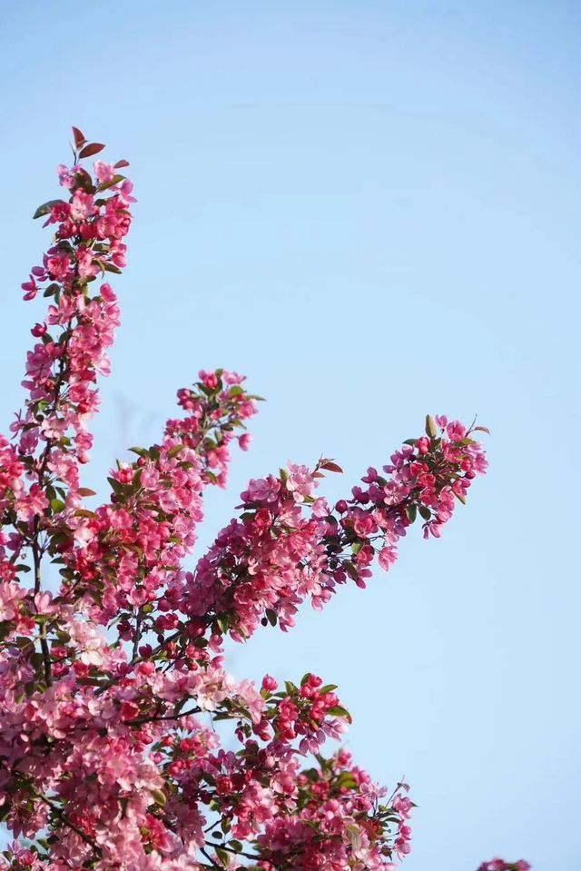 長興島濕地公園，春日治癒系被這裡承包了！