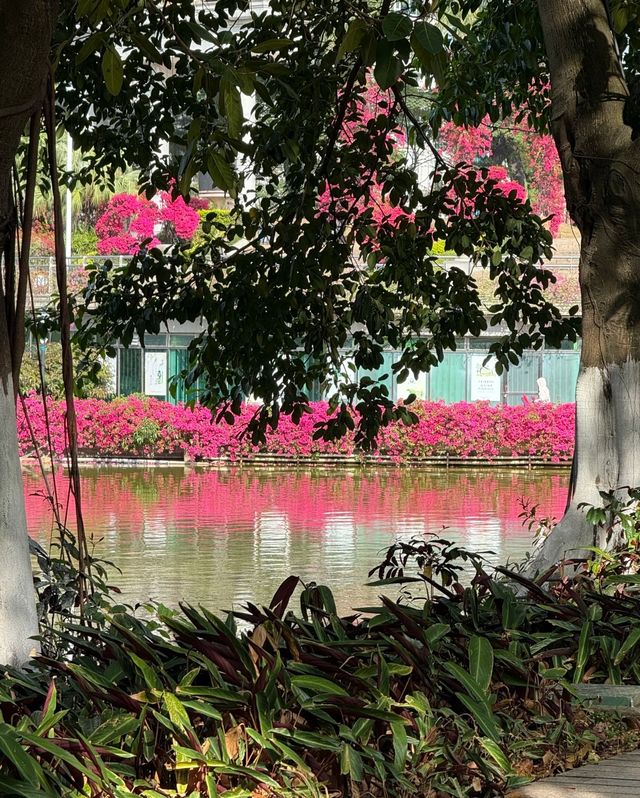 東湖公園純玩一天攻略來啦