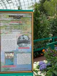 Explore Monet's Garden at Marina Bay in Singapore